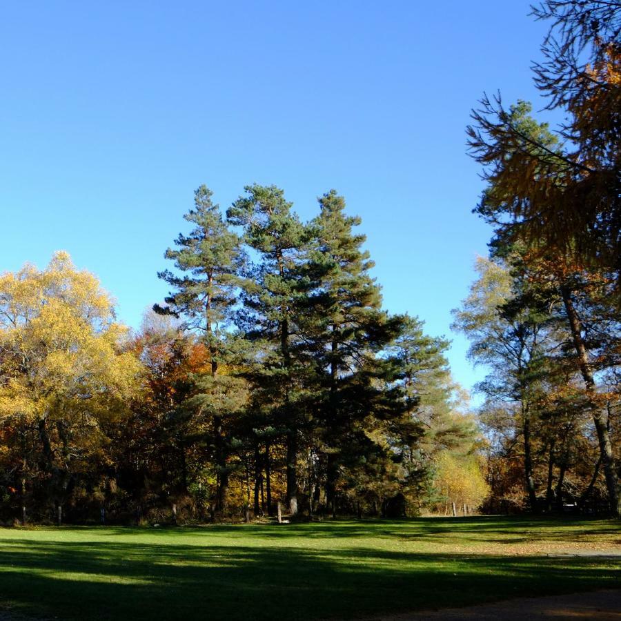 Ecoparc Des Monédières Hotel