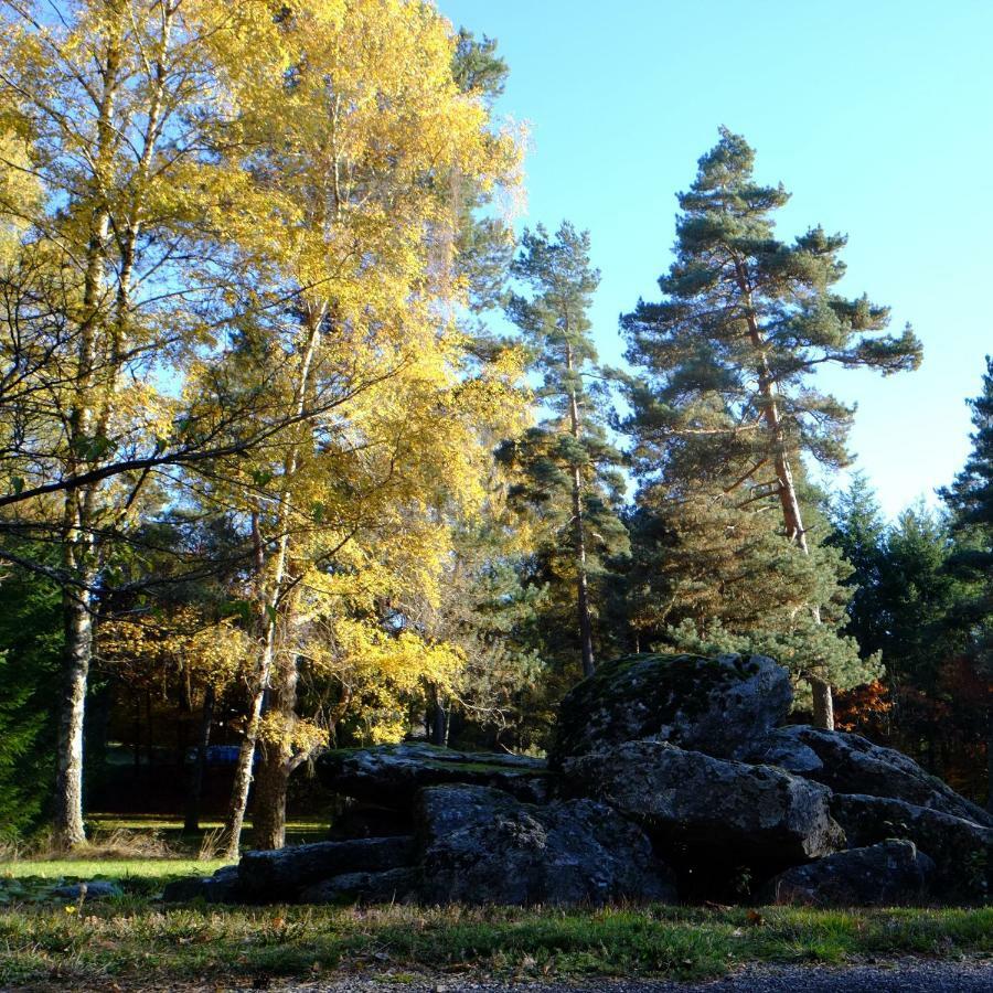 Ecoparc Des Monédières Saint-Yrieix-le-Déjalat