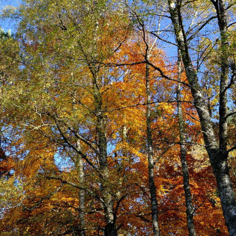 Ecoparc Des Monédières