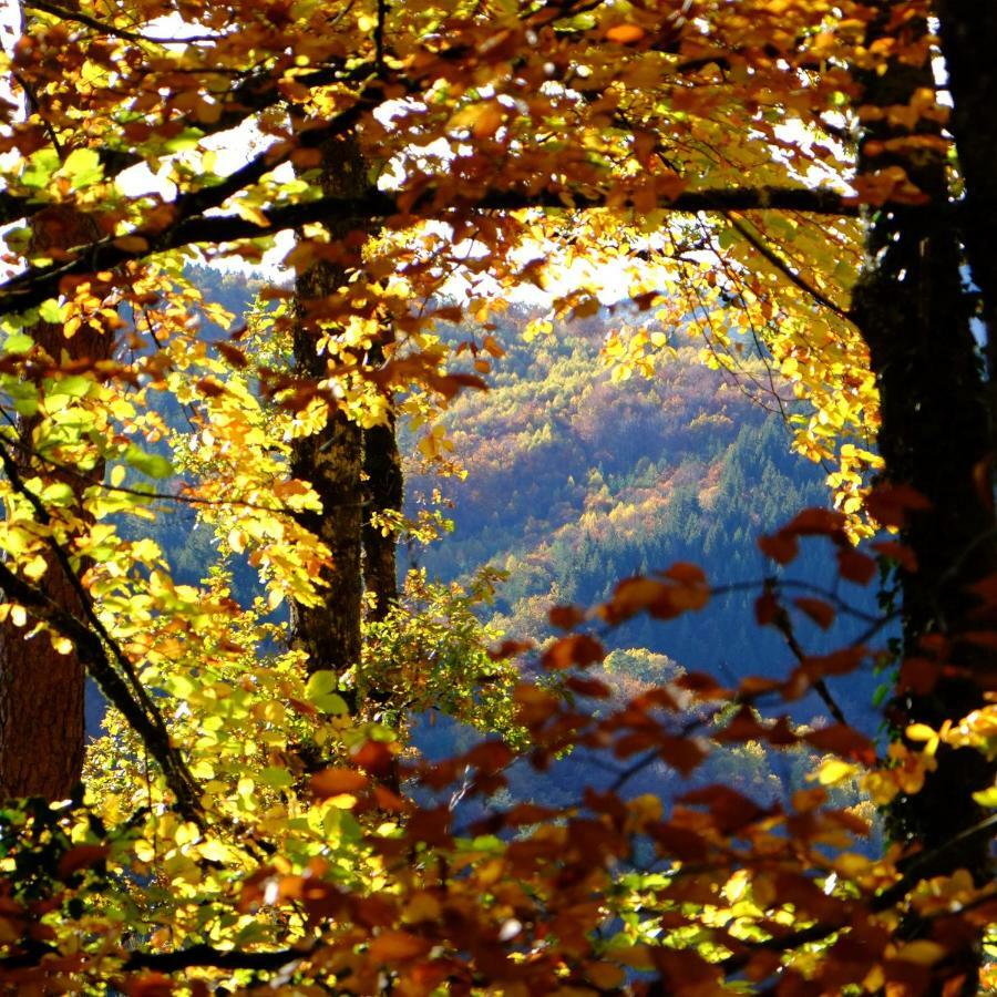 Ecoparc Des Monédières *